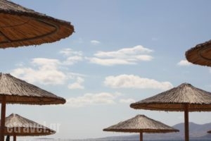 Ostria Hotel_travel_packages_in_Cyclades Islands_Naxos_Agios Prokopios