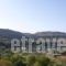 Electra_accommodation_in_Hotel_Dodekanessos Islands_Rhodes_Lindos