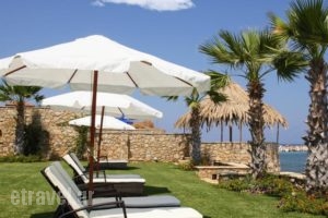 Palatia Caeli_travel_packages_in_Ionian Islands_Zakinthos_Laganas