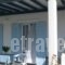 Kounados Apartments_best deals_Apartment_Cyclades Islands_Paros_Paros Chora