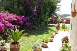 Yiannis Cottage_best prices_in_Hotel_Crete_Chania_Kolympari