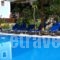 Giorgio Apartments_lowest prices_in_Apartment_Ionian Islands_Lefkada_Lefkada Chora