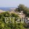 Guesthouse Xenios Zeus_holidays_in_Hotel_Cyclades Islands_Schinousa_Schinousa Chora