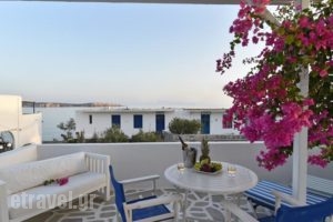 Apartments Tarsa_holidays_in_Apartment_Cyclades Islands_Antiparos_Antiparos Chora