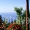 Studio Froso_accommodation_in_Hotel_Aegean Islands_Samos_Samos Rest Areas