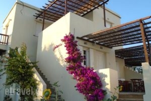 Christina Apartments_accommodation_in_Apartment_Cyclades Islands_Tinos_Agios Sostis