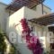 Christina Apartments_accommodation_in_Apartment_Cyclades Islands_Tinos_Agios Sostis
