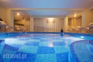 Ellinon Thea Arachova_best deals_Hotel_Central Greece_Fokida_Delfi