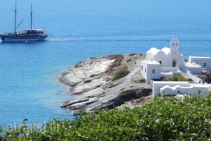 Hotel Flora_best prices_in_Hotel_Cyclades Islands_Sifnos_Platys Gialos