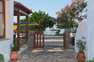 Pelagos Hotel Apartments_travel_packages_in_Aegean Islands_Samos_MarathoKambos