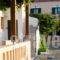 Pelagos Hotel Apartments_best deals_Apartment_Aegean Islands_Samos_MarathoKambos