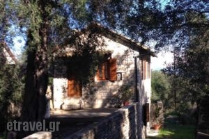 The "M" House_accommodation_in_Hotel_Ionian Islands_Paxi_Paxi Chora