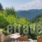Oihalia Guesthouse_travel_packages_in_Central Greece_Evritania_Karpenisi