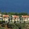Four Seasons Villas_holidays_in_Villa_Sporades Islands_Skiathos_Skiathosst Areas