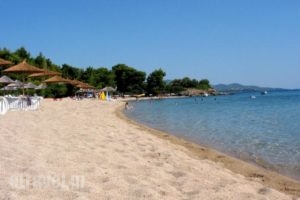 Lily-Ann Village_lowest prices_in_Hotel_Macedonia_Halkidiki_Kassandreia