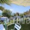 Akrogiali Hotel_holidays_in_Hotel_Aegean Islands_Lesvos_Plomari