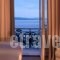 Poseidonion Grand Hotel_best prices_in_Hotel_Piraeus Islands - Trizonia_Spetses_Spetses Chora