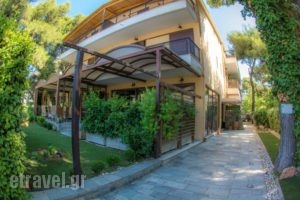 Hotel Chris_accommodation_in_Hotel_Central Greece_Attica_Athens