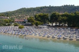 Lagomandra Beach Hotel_travel_packages_in_Macedonia_Halkidiki_Haniotis - Chaniotis