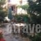 Studios Drakontis_best prices_in_Hotel_Aegean Islands_Thasos_Thasos Chora