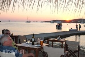 Hotel Livadia_best prices_in_Hotel_Cyclades Islands_Paros_Paros Chora