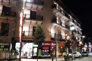 Hotel Elvetia_best prices_in_Hotel_Central Greece_Evritania_Karpenisi