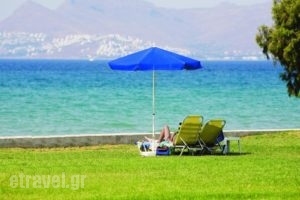 The Aeolos Beach Hotel_best deals_Hotel_Dodekanessos Islands_Kos_Marmari