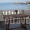 Vassiliki Studios_best prices_in_Hotel_Cyclades Islands_Andros_Andros City