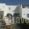 Villa Irine_travel_packages_in_Cyclades Islands_Paros_Piso Livadi