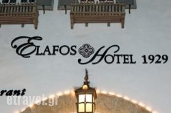 Elafos Hotel hollidays