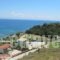 Levantino Studios & Apartments_accommodation_in_Apartment_Ionian Islands_Zakinthos_Laganas