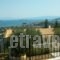 Apartments Villa L&M Skiathos_holidays_in_Villa_Sporades Islands_Skiathos_Skiathoshora