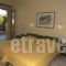 Philoxenia Apartments_best prices_in_Apartment_Crete_Rethymnon_Panormos