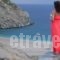 Aegea Blue Cycladic Resort_lowest prices_in_Hotel_Cyclades Islands_Andros_Batsi