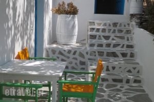 Vounali Rooms_best prices_in_Room_Cyclades Islands_Paros_Paros Chora