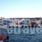 Sunfos Alessia Yachting_best prices_in_Yacht_Cyclades Islands_Mykonos_Mykonos ora