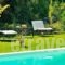 Mounty Island - Ermis Villa_lowest prices_in_Villa_Ionian Islands_Lefkada_Karia