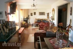 Marilena Rooms_best prices_in_Room_Macedonia_kastoria_Aposkepos