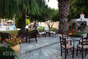 Sun Accommodation_best deals_Hotel_Sporades Islands_Skopelos_Skopelos Chora
