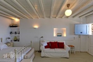 Studio Efi_holidays_in_Hotel_Cyclades Islands_Mykonos_Mykonos ora
