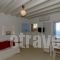Studio Efi_best prices_in_Hotel_Cyclades Islands_Mykonos_Mykonos ora