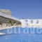 Belogna Ikons_travel_packages_in_Cyclades Islands_Naxos_Naxos chora