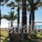 Kanali Beach House_accommodation_in_Hotel_Ionian Islands_Lefkada_Agios Ninitas