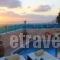 Nectarios Villa_best prices_in_Villa_Cyclades Islands_Sandorini_Fira