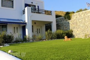 Studios Ageri_best prices_in_Hotel_Dodekanessos Islands_Agathonisi_Agathonisi Chora