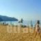Alexandros Apartments_holidays_in_Room_Ionian Islands_Corfu_Agios Gordios