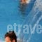 Kosta Mare Palace_accommodation_in_Hotel_Crete_Heraklion_Gouves