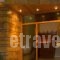 Giota Studios_travel_packages_in_Central Greece_Evia_Edipsos