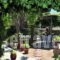 Christina'S Garden_best prices_in_Hotel_Aegean Islands_Lesvos_Petra