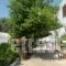 Argo_lowest prices_in_Hotel_Peloponesse_Korinthia_Korfos